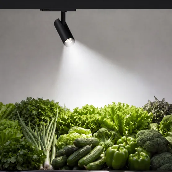 Фото #2 товара Светильник LGD-GERA-4TR-R74-20W Day SP5000-Veg (Черный, 15 deg, 230V) (Arlight, IP20 Металл, 5 лет)