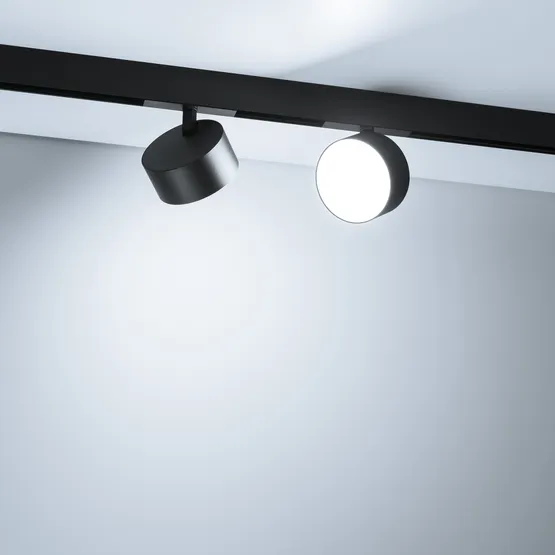 Фото #2 товара Светильник MAG-ORIENT-RONDO-R120-15W Day4000-MIX (BK, 110 deg, 48V, DALI) (Arlight, IP20 Металл, 5 лет)