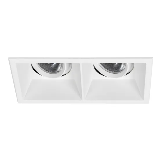 Фото #1 товара Светильник MS-FLOW-BUILT-S157x85-2x12W Day4000 (WH, 38 deg, 230V) (Arlight, IP20 Металл, 5 лет)
