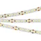 Минифото #1 товара Светодиодная лента RT6-3528-180 24V White6000 3x (900 LED) (Arlight, 14.4 Вт/м, IP20)