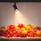 Минифото #2 товара Светильник LGD-GERA-4TR-R74-20W Warm SP3000-Fruit (Черный, 36 deg, 230V) (Arlight, IP20 Металл, 5 лет)