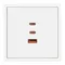 Минифото #3 товара ARL NOBE USB Розетка тип А+С+С софт-тач белый кварц SCT-MUACC-SFPL-FC-WH (65W, QC3) (Arlight, -)