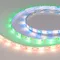 Минифото #1 товара Светодиодная лента RTW-SE-B60-10mm 24V RGBW-Warm (14.4 W/m, IP65, 5m) (Arlight, Открытый)