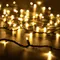 Минифото #1 товара Светодиодная гирлянда ARD-STRING-PRO-10000-GREEN-100LED-FLASH WARM (230V, 7W) (Ardecoled, IP65)