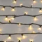 Минифото #2 товара Светодиодная гирлянда ARD-STRING-PRO-10000-GREEN-100LED-STD WARM (230V, 7W) (Ardecoled, IP65)