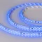 Минифото #2 товара Светодиодная лента RTW 2-5000SE 24V Blue 2x (3528, 600 LED, LUX) (Arlight, 9.6 Вт/м, IP65)