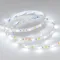 Минифото #5 товара Светодиодная лента RT 6-5000 24V White-MIX 2x (5060, 60 LED/m, LUX) (Arlight, Изменяемая ЦТ)